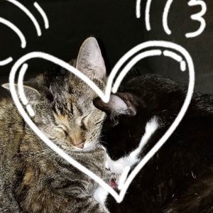 Meet your Posher, Marilyn